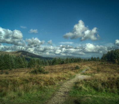  Beacon Fell Country Park 